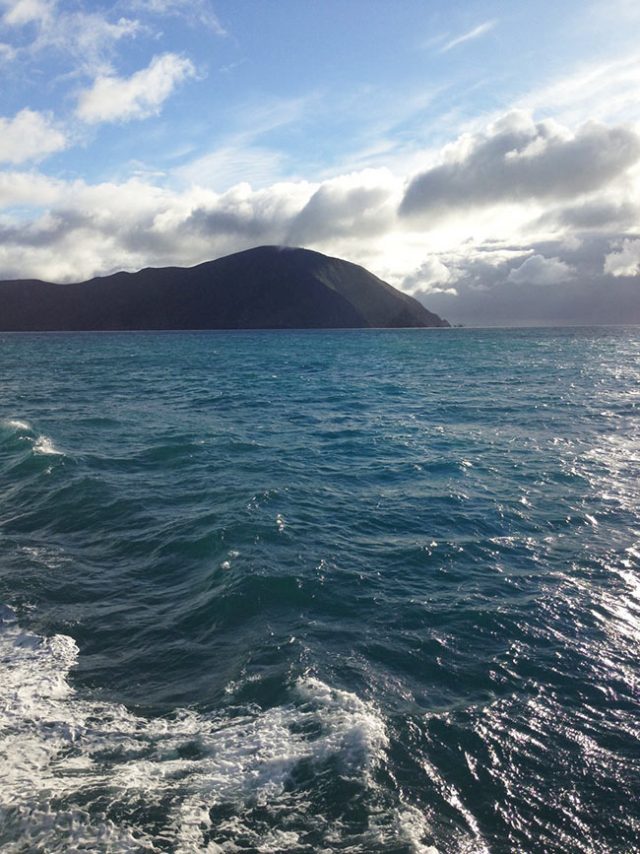 Fish & Co View from the Sea Lord