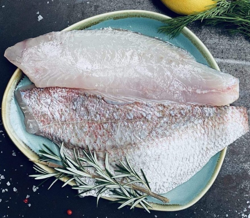 Fresh Wild Caught NZ Snapper Fillets Fish & Co